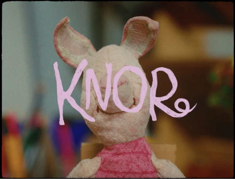 Knor animatie / student (NL)