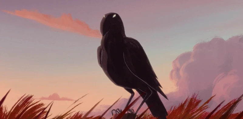 Raaf animatie (B)